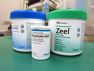 ホモトキシコロジー