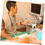 腫瘍治療の説明イメージ