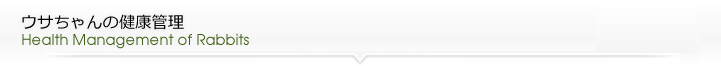 ウサちゃんの健康管理
